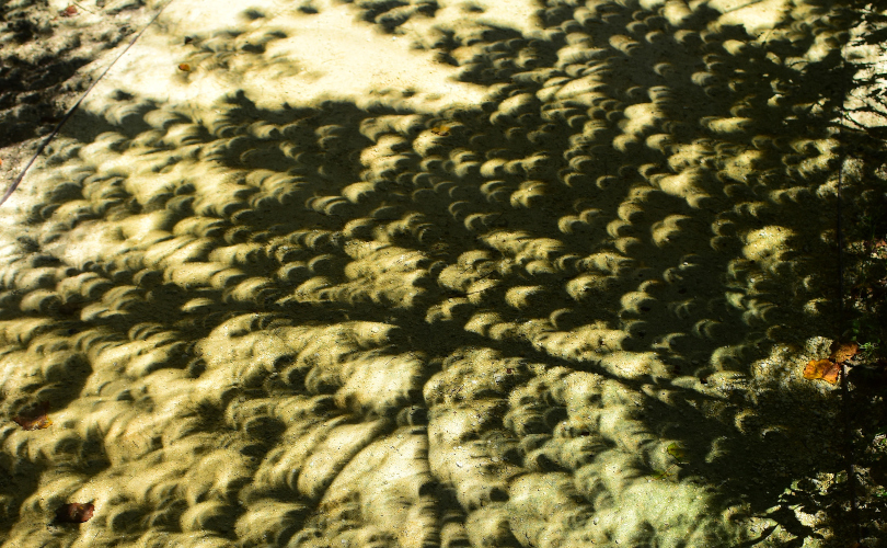Petites ombres en forme de croissant sur le sol.